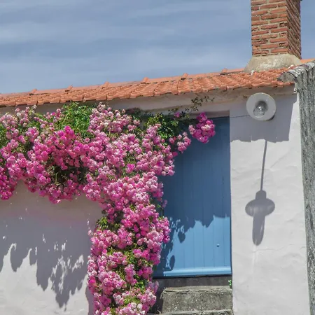 Сasa de vacaciones Casa Natura *