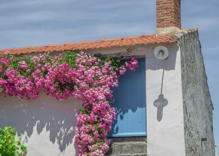 Сasa de vacaciones Casa Natura *